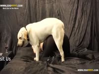 Owner's mom did beastiality xxx with dog